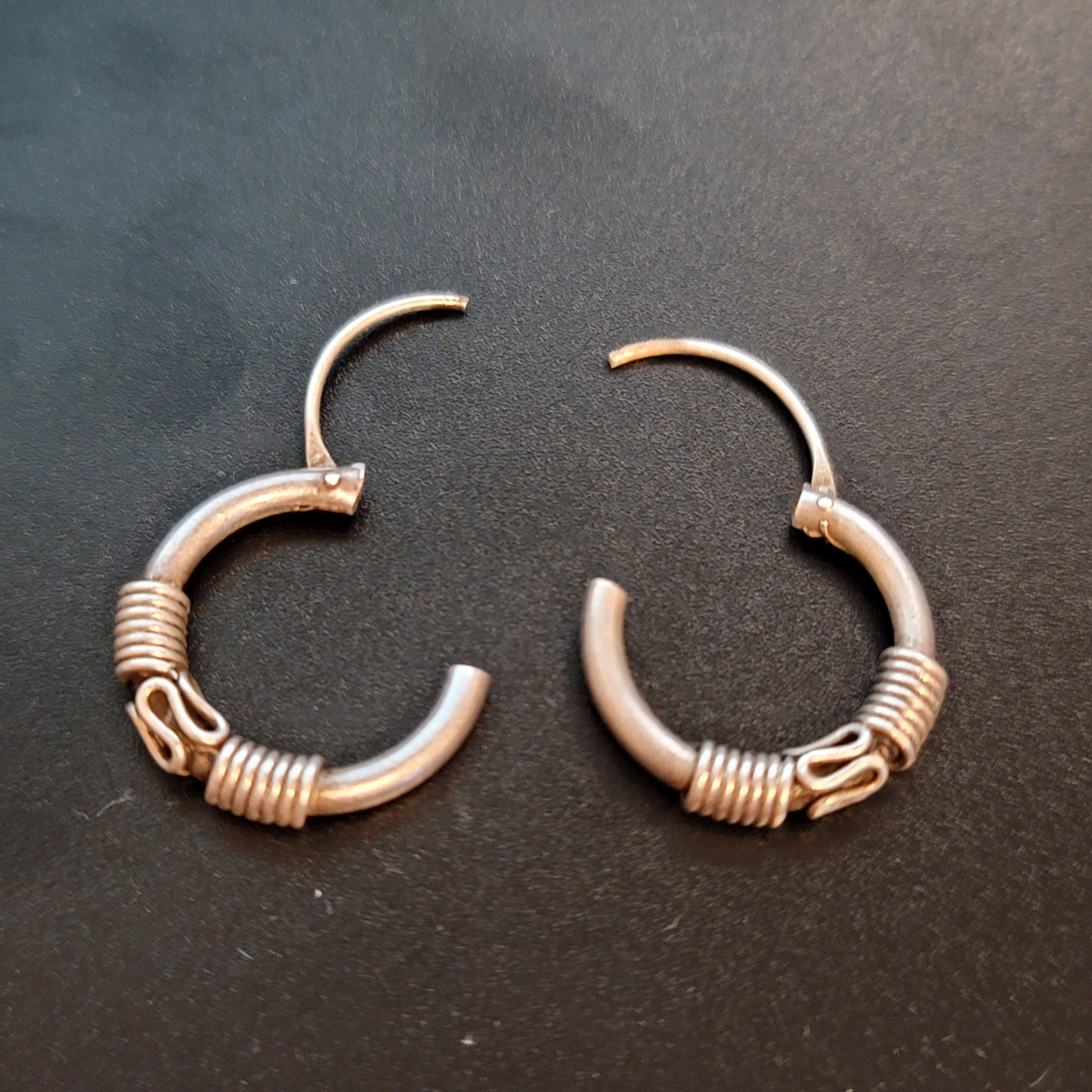 Small Silver Tone Hoop Earrings