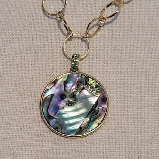 Multi Colored Gold Tone Abalone Chain Necklace