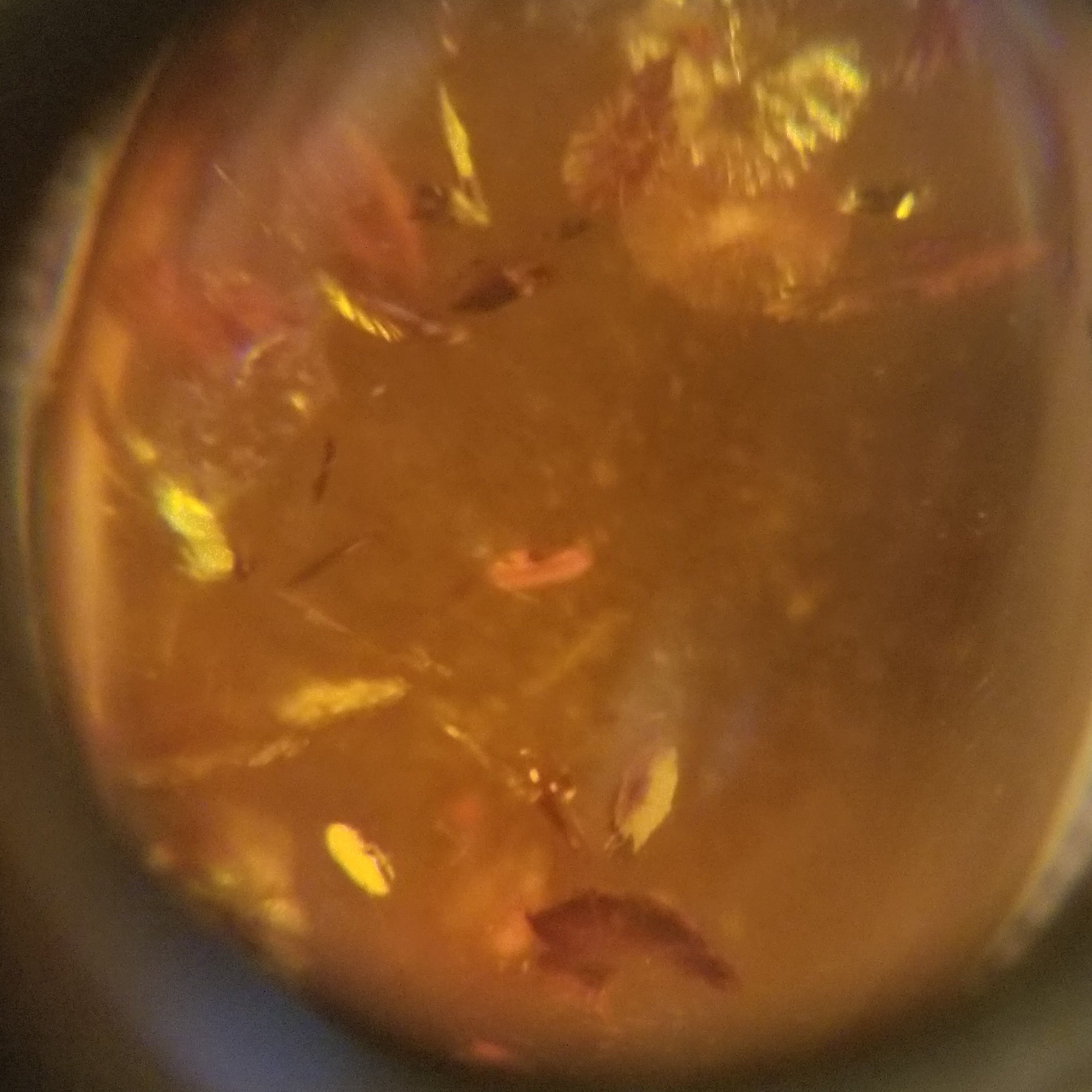 Vintage 925 Amber Ring