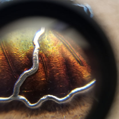 Silver Tone Enamel Hibiscus Flower Brooch