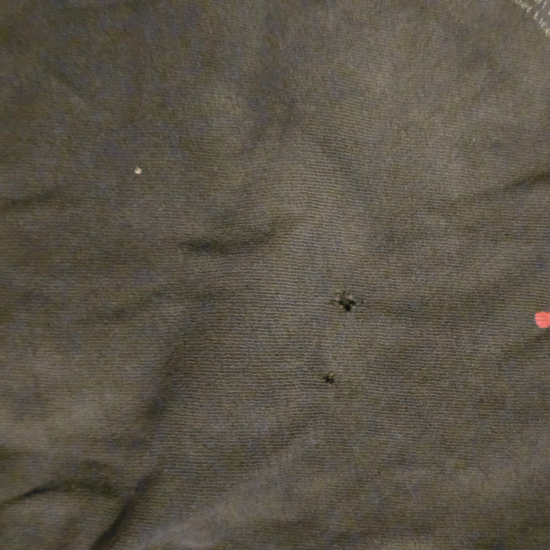 Close-up of dark fabric with small holes and imperfections