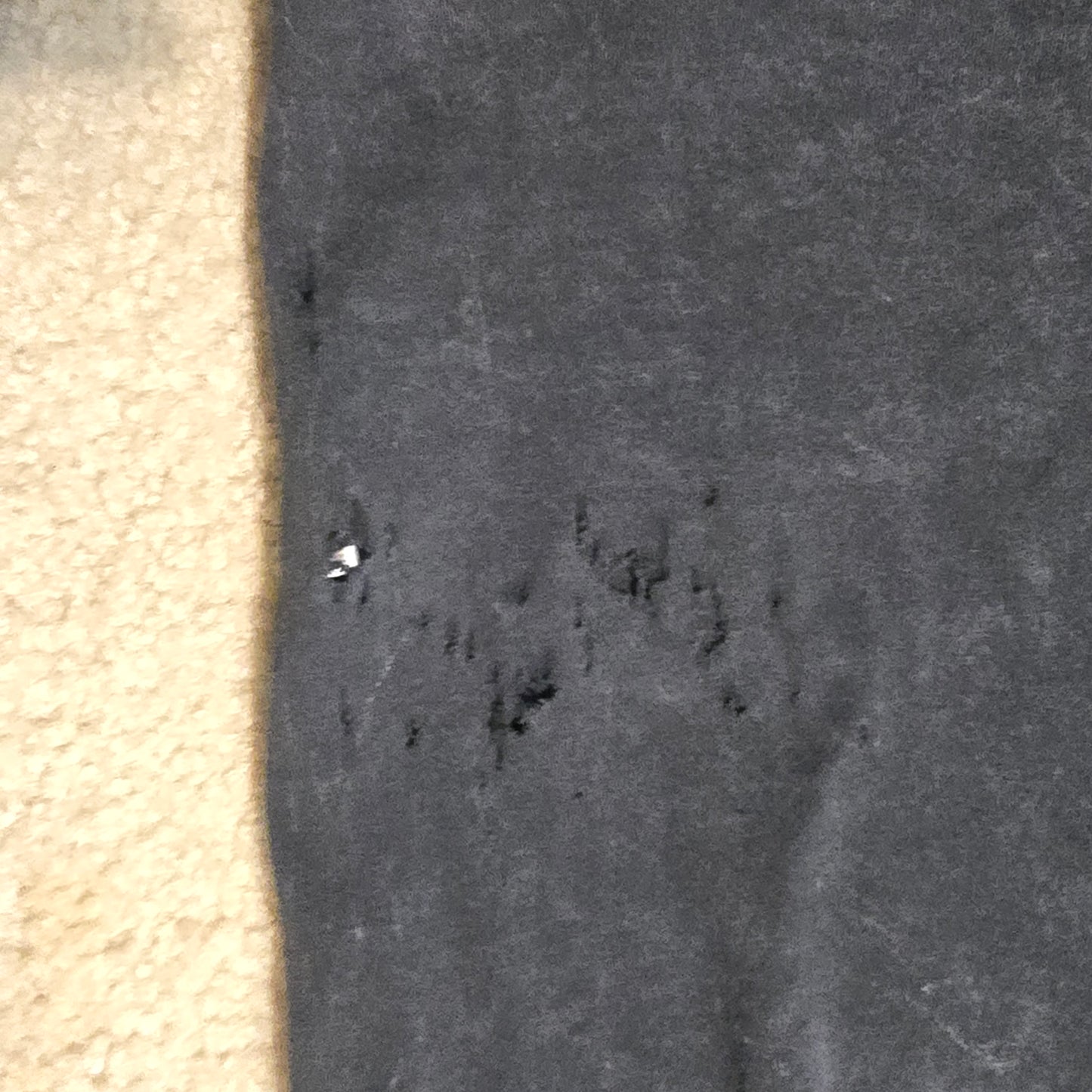 Affliction Angel Skeleton Roses Tee Men’s Large Distressed (Flaws)