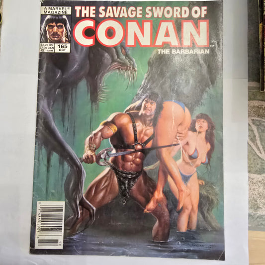 Savage Sword of Conan #165 (Oct 1989) Marvel Magazine