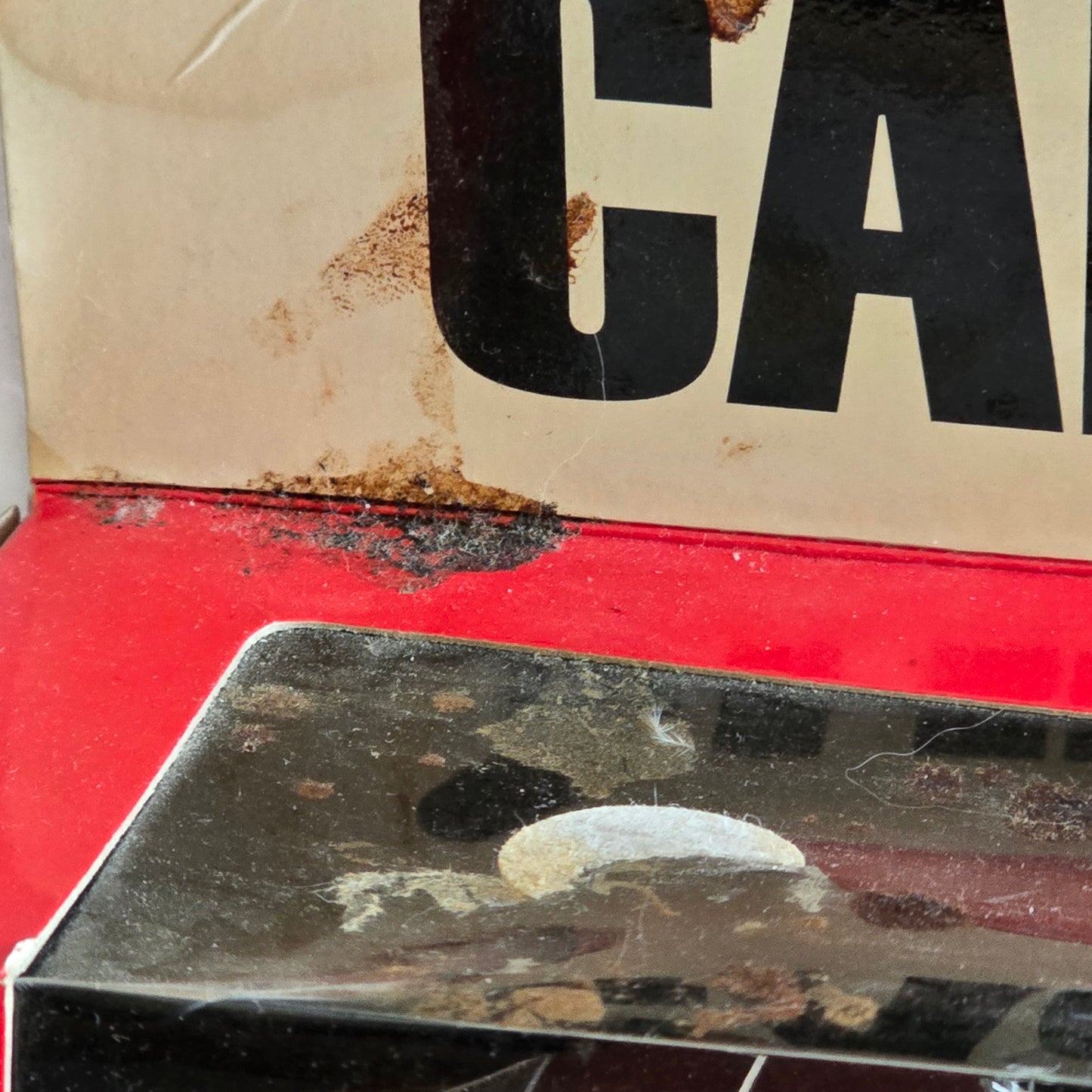 Road Champs Car and Driver 1:43 Head to Head 1967 & 1998 Set Damaged Box