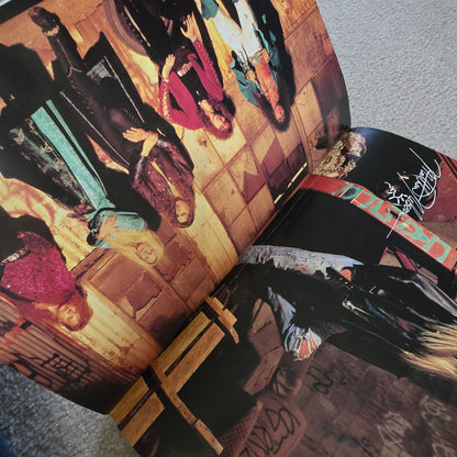 Vintage 1991 Nelson Poster Lot Poster Book + Fabric Wall Hanging 90s Rock Glam Metal Memorabilia Ricky Matthew Nelson