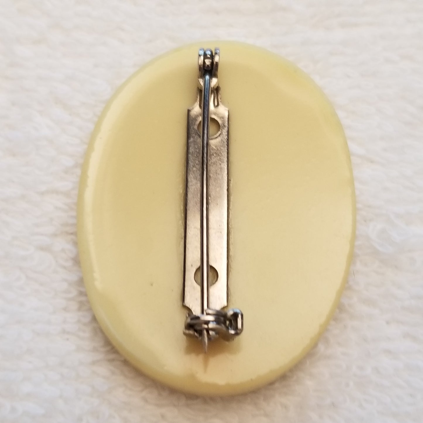 "Aslan" Carved Lion Resin Scrimshaw Oval Brooch