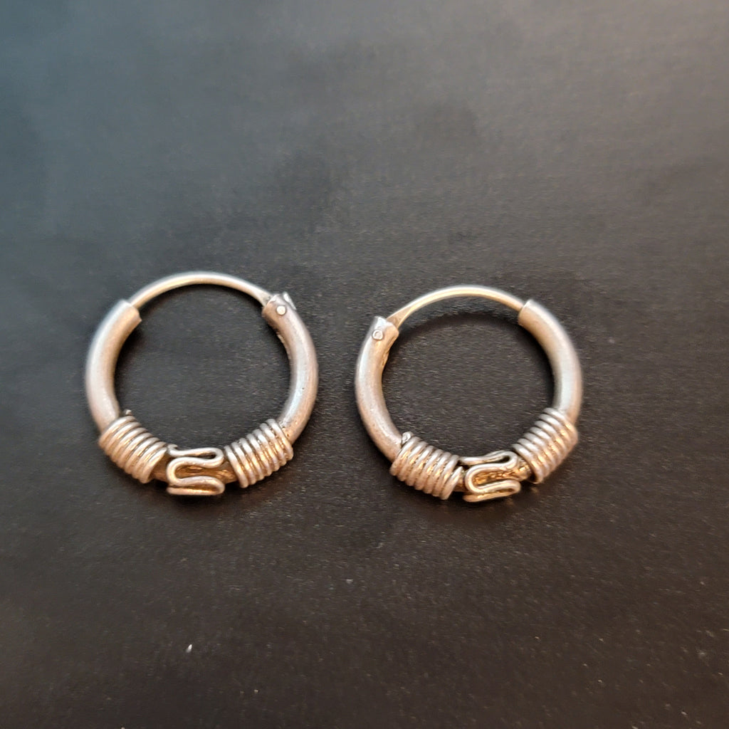 Small Silver Tone Hoop Earrings