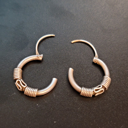 Small Silver Tone Hoop Earrings