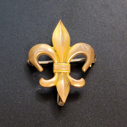 Vintage fleur-de-lis Brooch