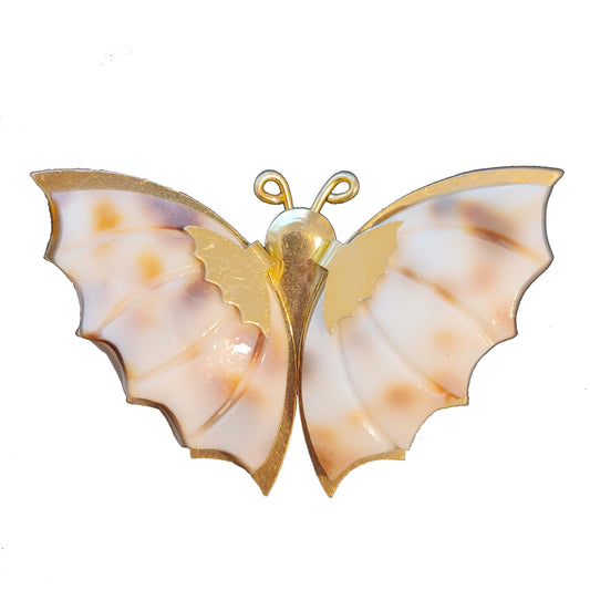 Vintage Spotted Conch Shell Butterfly Brooch
