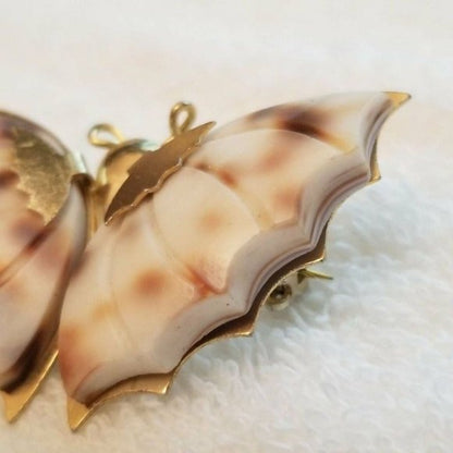Vintage Spotted Conch Shell Butterfly Brooch